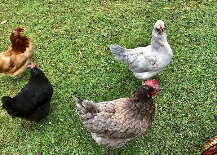 Holiday home The Gatehouse At The Old Forge *
